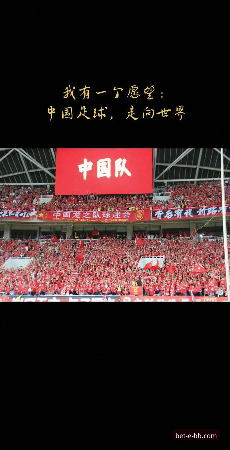 资深球迷分享：在贝博体育平台见证民主刚果52年世界杯梦圆时刻的观赛心得